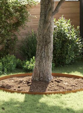 VidaXL Tuin Grasperkafwerking Roestig 450 x 10 cm Cortenstaal