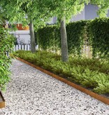 VidaXL Tuin Grasperkafwerking Roestig 450 x 10 cm Cortenstaal