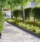 VidaXL Gazonranden 20 pcs Antraciet 100 x 0.5 x 20 cm Staal