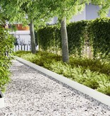 VidaXL Gazonranden 30 pcs Wit 100 x 0.5 x 20 cm Staal