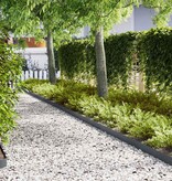 VidaXL Gazonranden 50 pcs Antraciet 100 x 0.5 x 15 cm Staal