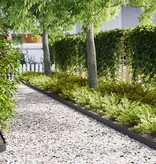 VidaXL Gazonranden 30 pcs Zwart 100 x 0.5 x 15 cm Staal