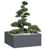 VidaXL Plantenbak 100x100x40 cm staal antracietkleurig