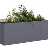 VidaXL Plantenbak 200x40x80 cm koudgewalst staal antracietkleurig