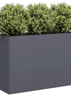VidaXL Plantenbak 120x40x80 cm koudgewalst staal antracietkleurig