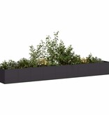 VidaXL Plantenbak 360x40x40 cm koudgewalst staal zwart