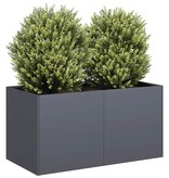 VidaXL Plantenbak 80x40x40 cm koudgewalst staal antracietkleurig