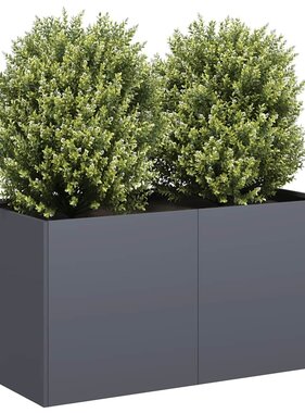 VidaXL Plantenbak 80x40x40 cm koudgewalst staal antracietkleurig