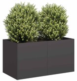VidaXL Plantenbak 80x40x40 cm koudgewalst staal zwart