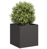 VidaXL Plantenbak 40x40x40 cm koudgewalst staal zwart