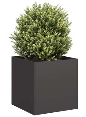 VidaXL Plantenbak 40x40x40 cm koudgewalst staal zwart