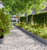 VidaXL Gazonranden 30 st 20x103 cm koudgewalst staal antraciet