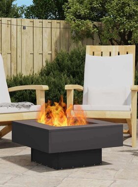 VidaXL Vuurkorf Zwart 60 x 60 x 30 cm Koudgewalst staal