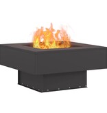 VidaXL Vuurkorf Zwart 60 x 60 x 30 cm Koudgewalst staal