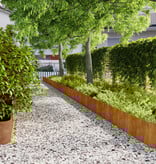 VidaXL Graskanten 20 st 25x103 cm flexibel weervast staal