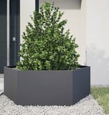 VidaXL Plantenbak zeshoek 138x120x45 cm staal antracietkleurig