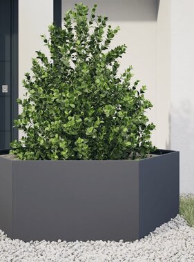 VidaXL Plantenbak zeshoek 138x120x45 cm staal antracietkleurig