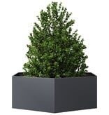 VidaXL Plantenbak zeshoek 138x120x45 cm staal antracietkleurig