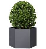 VidaXL Plantenbak zeshoek 69x60x45 cm staal antracietkleurig