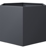 VidaXL Plantenbak zeshoek 69x60x45 cm staal antracietkleurig