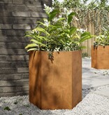 VidaXL Plantenbakken 2 st zeshoek 46x40x45 cm weervast staal