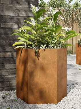 VidaXL Plantenbakken 2 st zeshoek 46x40x45 cm weervast staal