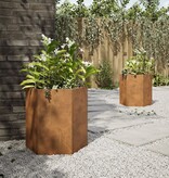 VidaXL Plantenbakken 2 st zeshoek 46x40x45 cm weervast staal