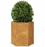 VidaXL Plantenbakken 2 st zeshoek 46x40x45 cm weervast staal