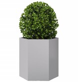VidaXL Plantenbakken 2 st zeshoek 46x40x45 cm gegalvaniseerd staal