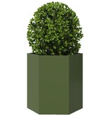 VidaXL Plantenbak zeshoek 46x40x45 cm staal olijfgroen