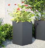 VidaXL Plantenbakken 2 st zeshoek 46x40x45 cm staal antracietkleurig