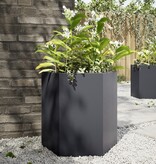 VidaXL Plantenbak zeshoek 46x40x45 cm staal antracietkleurig
