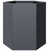 VidaXL Plantenbak zeshoek 46x40x45 cm staal antracietkleurig