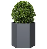 VidaXL Plantenbak zeshoek 46x40x45 cm staal antracietkleurig