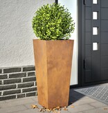 VidaXL Plantenbakken 2 st 35x35x75 cm weervast staal