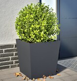 VidaXL Plantenbakken 2 st 50x50x50 cm staal antracietkleurig