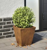 VidaXL Plantenbak 30x30x30 cm weervast staal