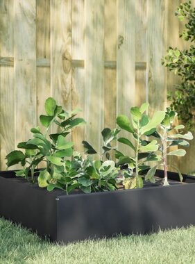 VidaXL Plantenbak verhoogd 100x100x25 cm staal antracietkleurig