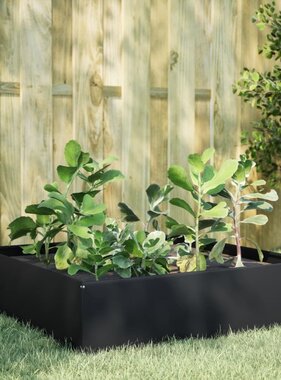 VidaXL Plantenbak verhoogd 100x100x25 cm staal zwart