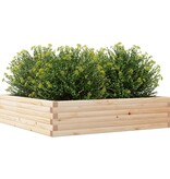 VidaXL Plantenbak 100x100x23 cm massief grenenhout