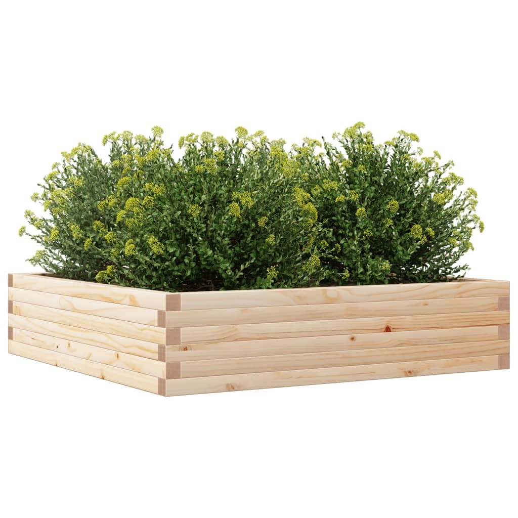 VidaXL Plantenbak 100x100x23 cm massief grenenhout