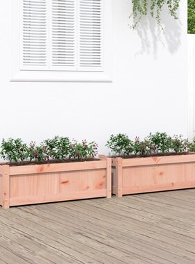 VidaXL Plantenbakken 2 st massief douglashout