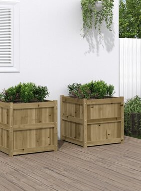 VidaXL Plantenbakken 2 st cm geïmpregneerd hout