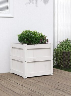 VidaXL Plantenbak 50x50x50 cm massief grenenhout wit
