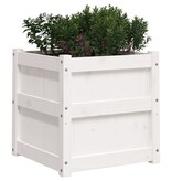 VidaXL Plantenbak 50x50x50 cm massief grenenhout wit