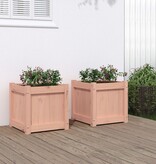 VidaXL Plantenbakken 2 st massief douglashout