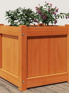 VidaXL Plantenbak 40x40x40 cm massief grenenhout wasbruin