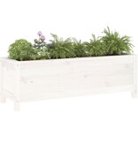 VidaXL Plantenbak verhoogd 119,5x40x39 cm massief grenenhout wit