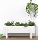 VidaXL Plantenbak verhoogd 101x30x38 cm massief grenenhout wit