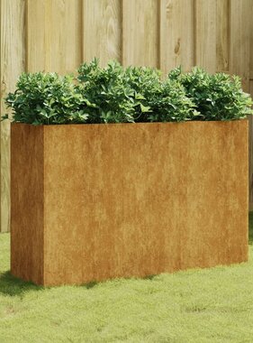 VidaXL Plantenbak verhoogd 120x40x80 cm cortenstaal